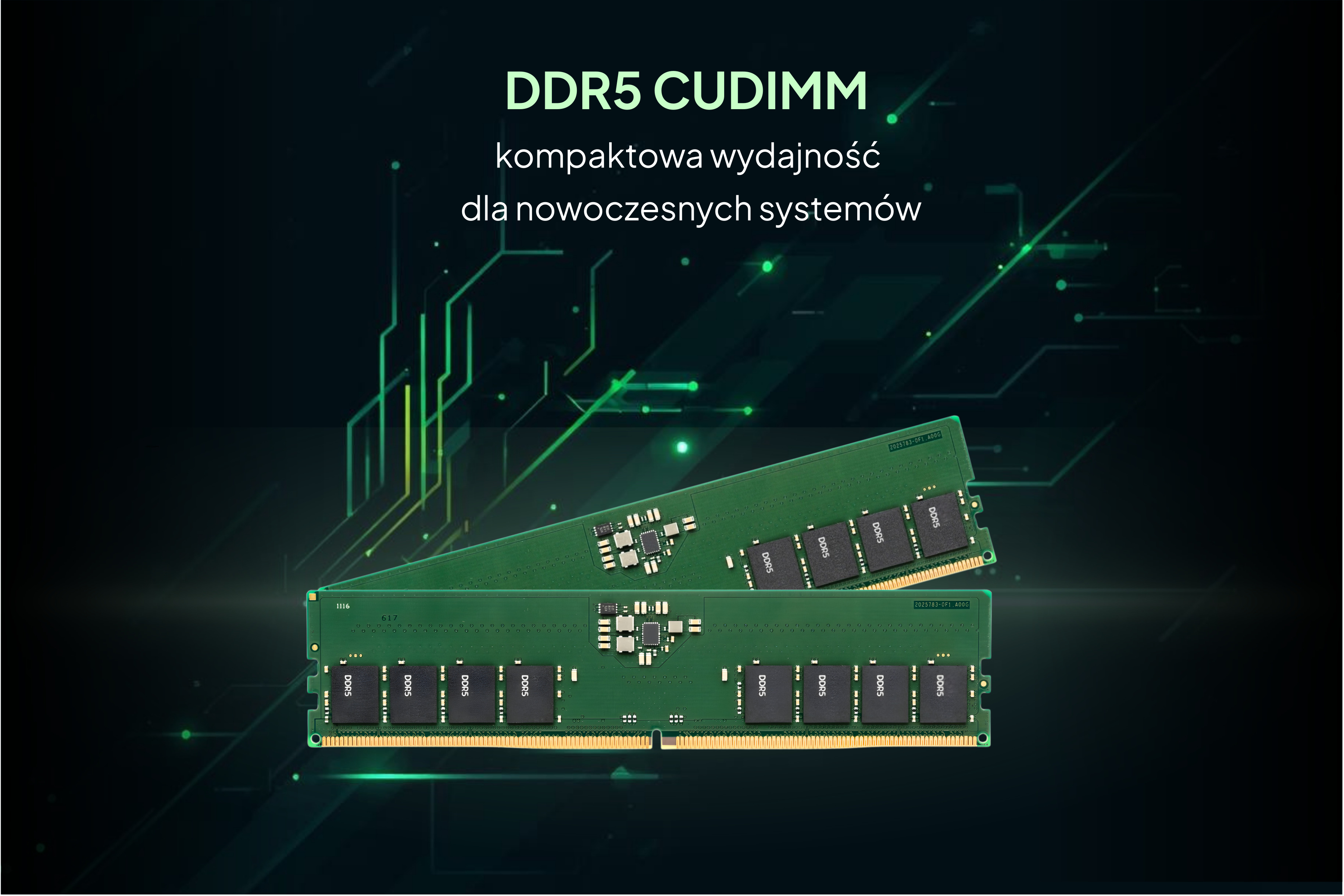Pamięci DDR5 CUDIMM – stabilność i precyzja nowej generacji